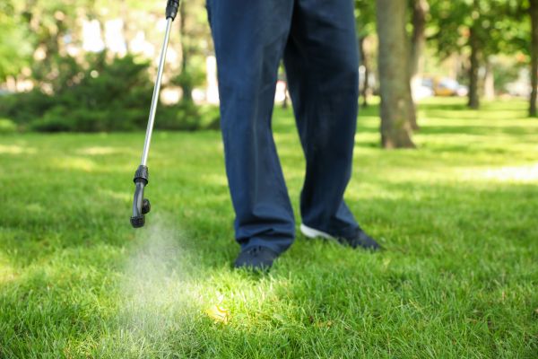 San Antonio Lawn Treatment
